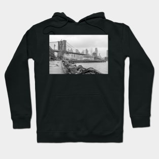 Brooklyn Bridge & Jane's Carousel Hoodie